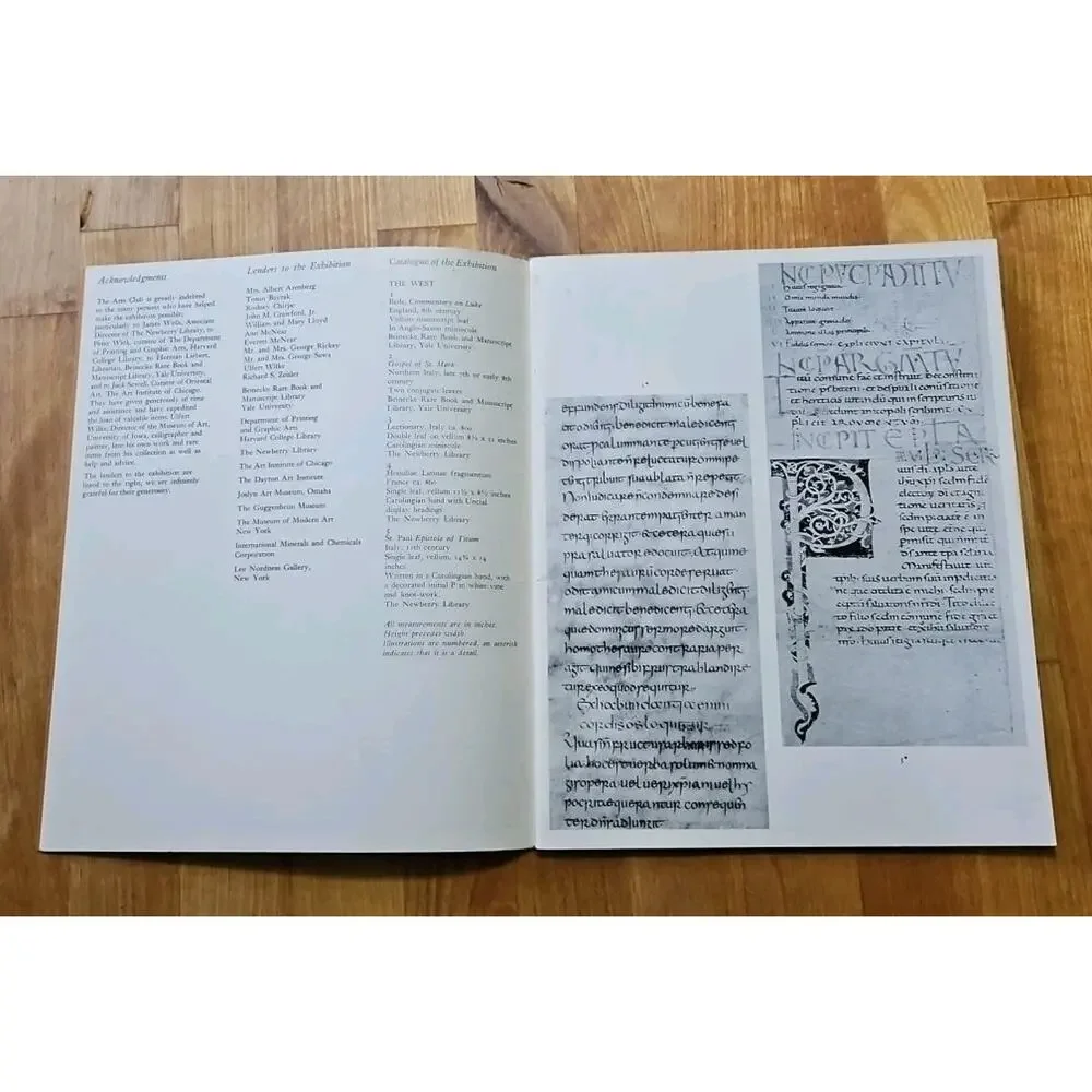 art catalog: THE CALLIGRAPHIC STATEMENT, Arts Club of Chicago 1970